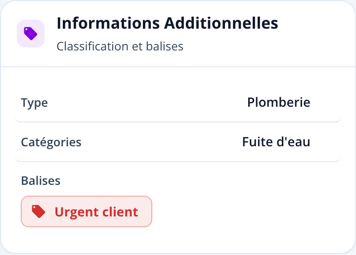 Capture: section « Informations Additionnelles »; Type, Catégorie et Balises colorées.
